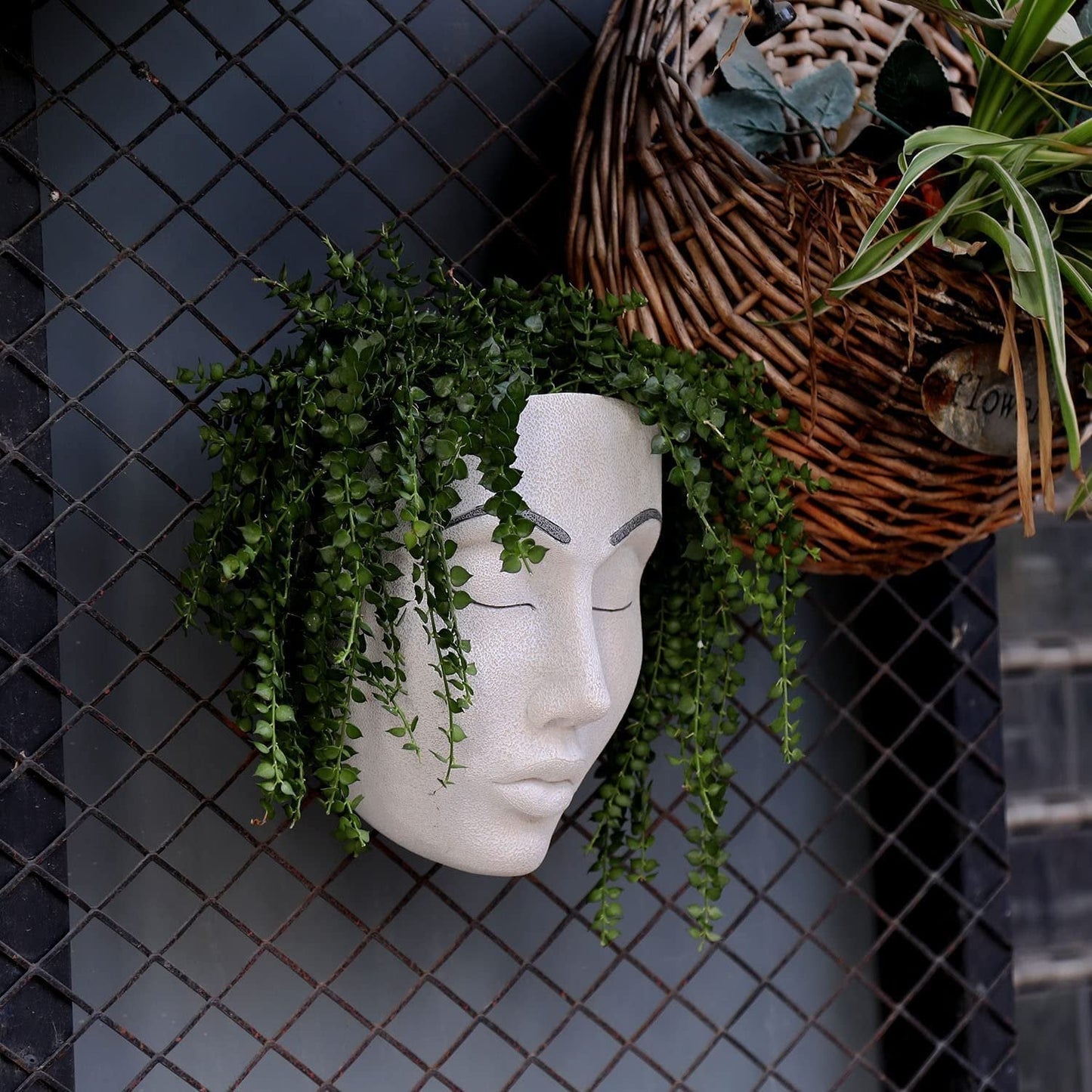 alwaysdwellTM - 🎁Plant Faces