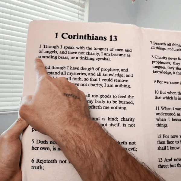 alwaysdwellTM - ✝️BIBLE PILLOW--BUY 2 FREE SHIPPING