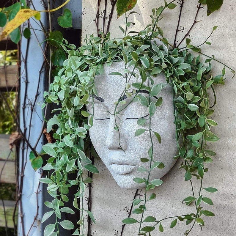 alwaysdwellTM - 🎁Plant Faces