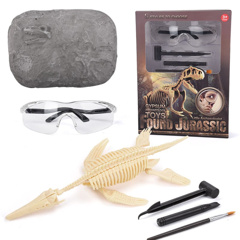 alwaysdwellTM - 🦖Dinosaur Fossil Digging Kit