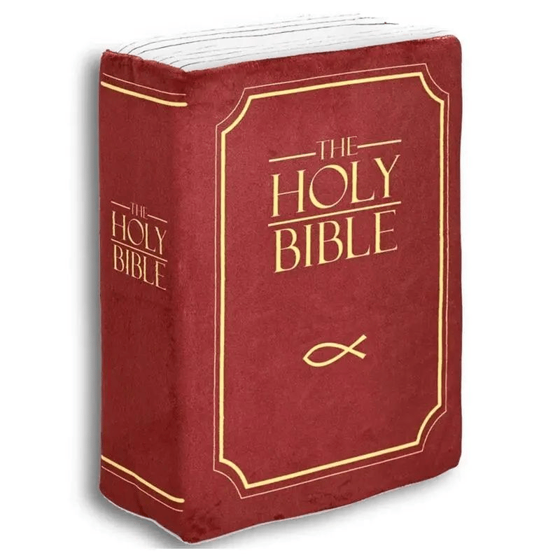 alwaysdwellTM - ✝️BIBLE PILLOW--BUY 2 FREE SHIPPING