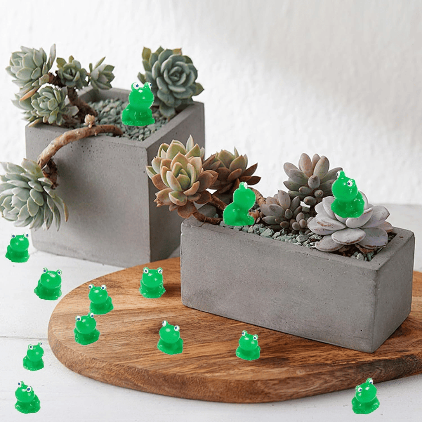 alwaysdwellTM - 🐸Tiny Frog| Challenge Hiding Frog