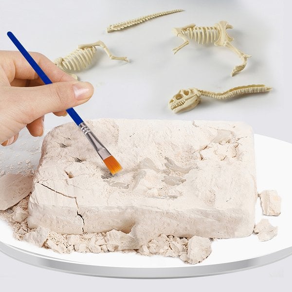 alwaysdwellTM - 🦖Dinosaur Fossil Digging Kit