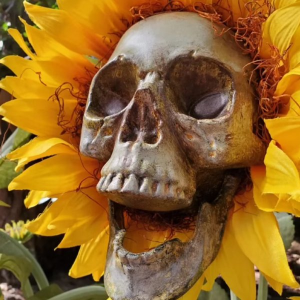 alwaysdwellTM - HALLOWEEN DECOR SKULL SUNFLOWERS🌻BUY 3 FREE SHIPPING