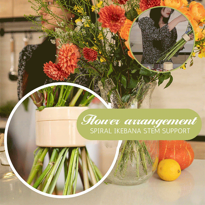 alwaysdwellTM - 🎁Spiral Ikebana Stem Holder💐