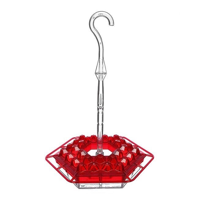 alwaysdwellTM - Hummingbird Feeder with Perch and Built-in Ant Moat