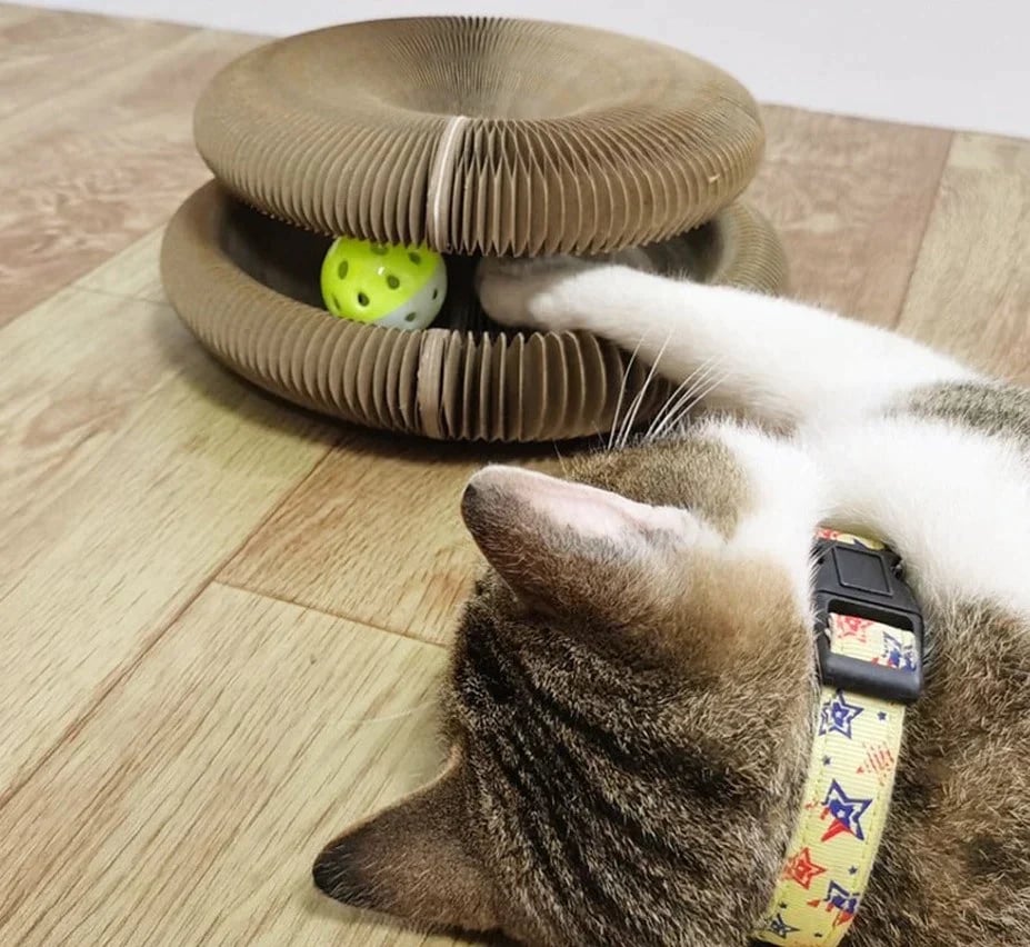 alwaysdwellTM - ⚡Cat Scratcher