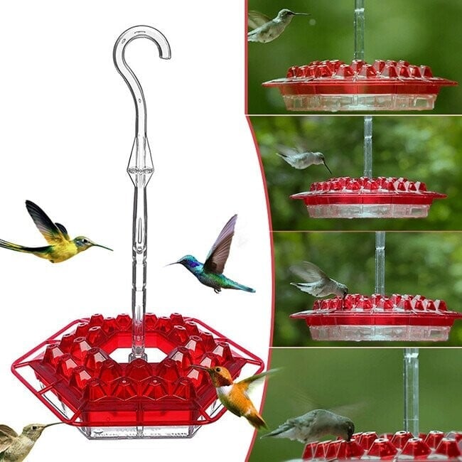alwaysdwellTM - Hummingbird Feeder with Perch and Built-in Ant Moat