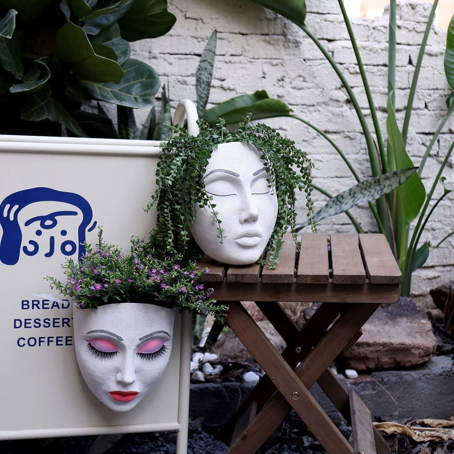 alwaysdwellTM - 🎁Plant Faces