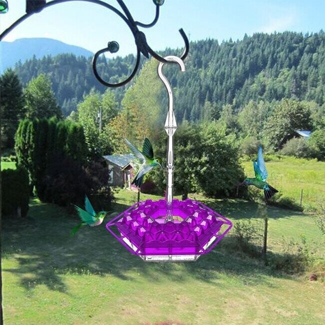 alwaysdwellTM - Hummingbird Feeder with Perch and Built-in Ant Moat