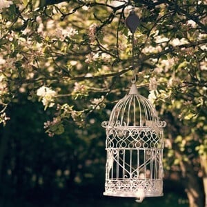 alwaysdwellTM - 🌳Plant Pulley Set For Garden Baskets Pots, Birds Feeder