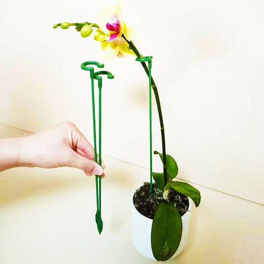 alwaysdwellTM - 🔥Plant Support Stake