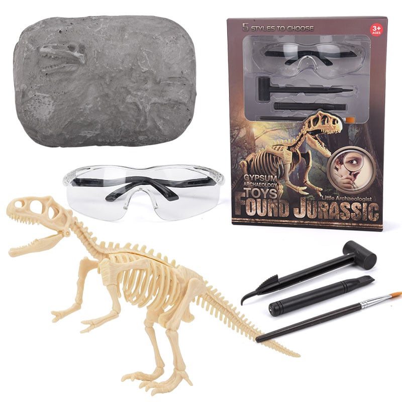alwaysdwellTM - 🦖Dinosaur Fossil Digging Kit