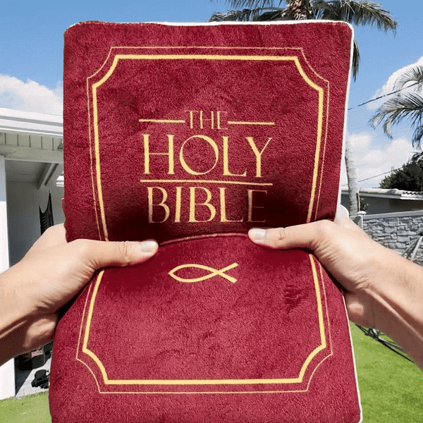 alwaysdwellTM - ✝️BIBLE PILLOW--BUY 2 FREE SHIPPING