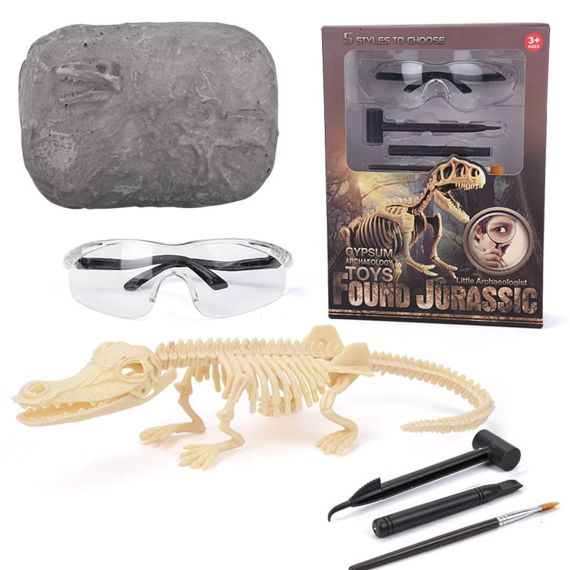 alwaysdwellTM - 🦖Dinosaur Fossil Digging Kit