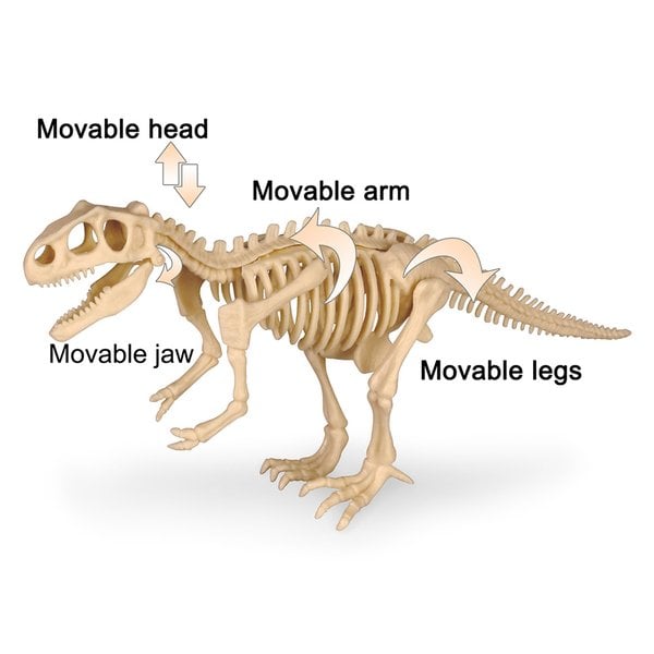 alwaysdwellTM - 🦖Dinosaur Fossil Digging Kit