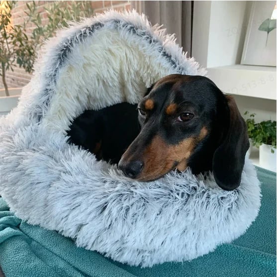 alwaysdwellTM - 🐶🐱Plush bed for dogs & cats