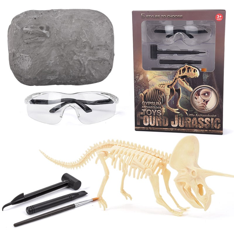 alwaysdwellTM - 🦖Dinosaur Fossil Digging Kit