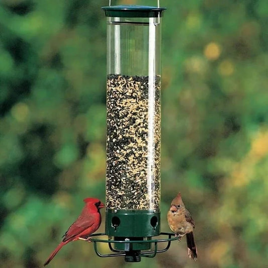 alwaysdwellTM - 🔥🔥Squirrel-Proof Bird Feeder
