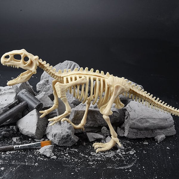 alwaysdwellTM - 🦖Dinosaur Fossil Digging Kit