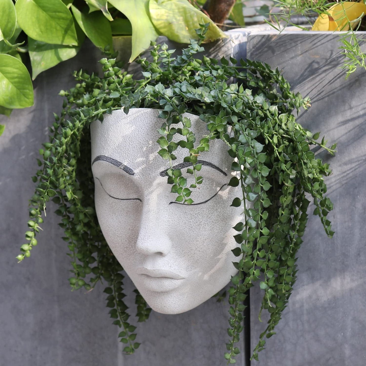 alwaysdwellTM - 🎁Plant Faces
