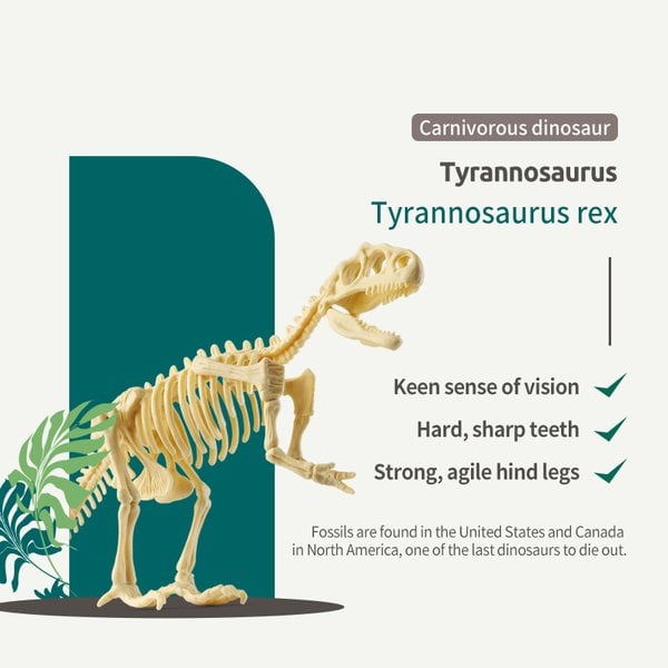 alwaysdwellTM - 🦖Dinosaur Fossil Digging Kit