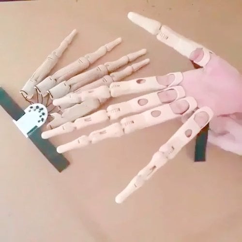 alwaysdwellTM - 🎃Halloween Pre-sale 49% off - Monster Jointed Fingers