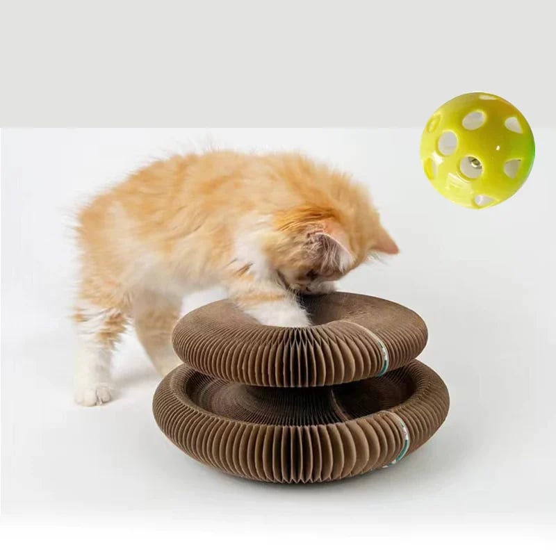 alwaysdwellTM - ⚡Cat Scratcher