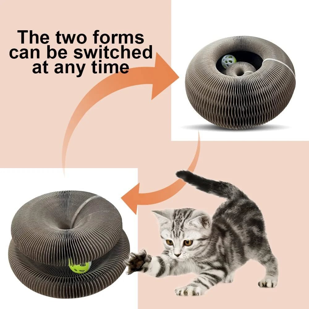alwaysdwellTM - ⚡Cat Scratcher