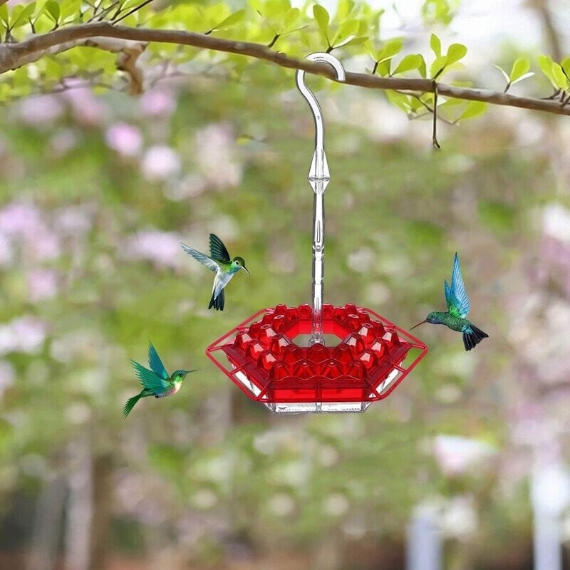 alwaysdwellTM - Hummingbird Feeder with Perch and Built-in Ant Moat