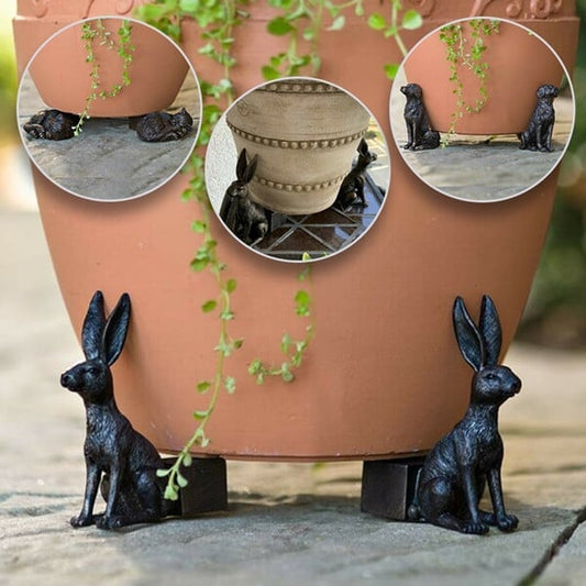 Cute Animal Shaped Pots Feet(🔥set of 3)