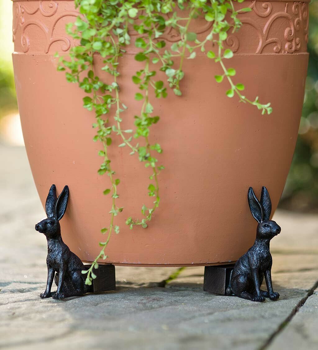 Cute Animal Shaped Pots Feet(🔥set of 3)