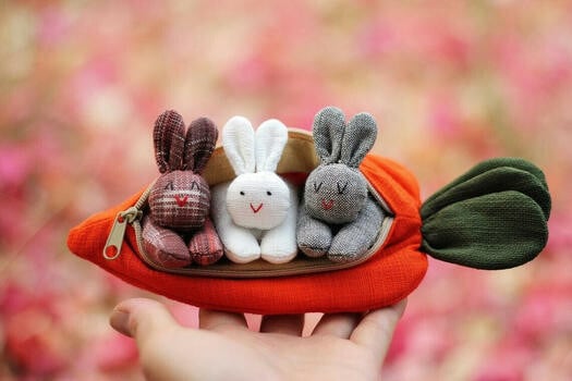 🎁 Hide-and-Seek Bunnies in Carrot Pouch