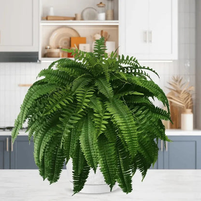 💥Historical Lowest Price $18.99 🌱2025 Brand New Upgraded UV-Resistant Realistic Artificial Boston Fern