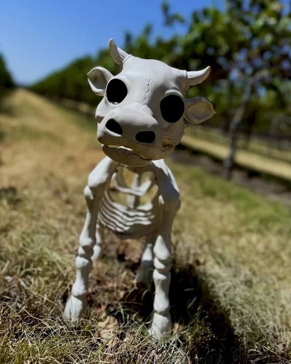 🔥 Cow & Horse Skeleton Halloween Decorative Prop