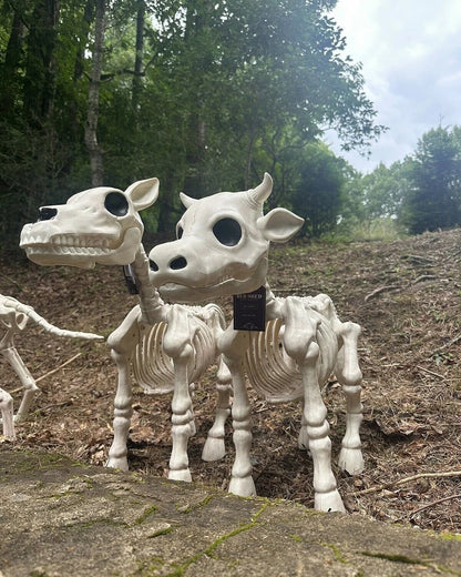 🔥 Cow & Horse Skeleton Halloween Decorative Prop