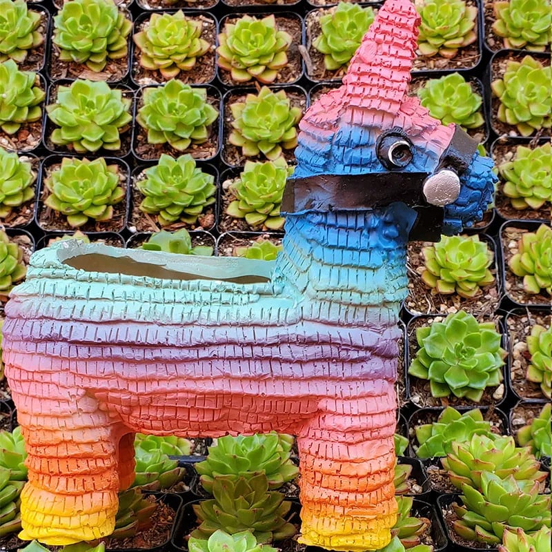 Rainbow Horse Planter