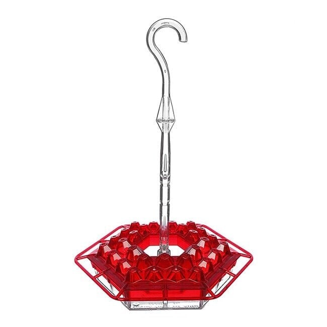 Hummingbird Feeder with Perch and Built-in Ant Moat