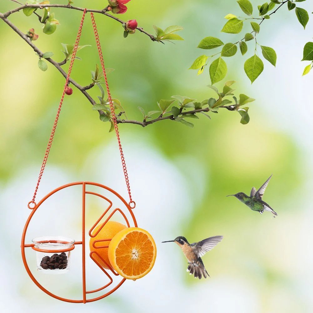 🔥2-in-1 hanging hummingbird oriole feeder