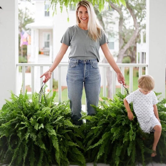 💥Historical Lowest Price $18.99 🌱2025 Brand New Upgraded UV-Resistant Realistic Artificial Boston Fern