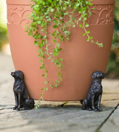 Cute Animal Shaped Pots Feet(🔥set of 3)