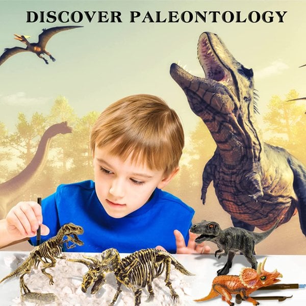 🦖Dinosaur Fossil Digging Kit