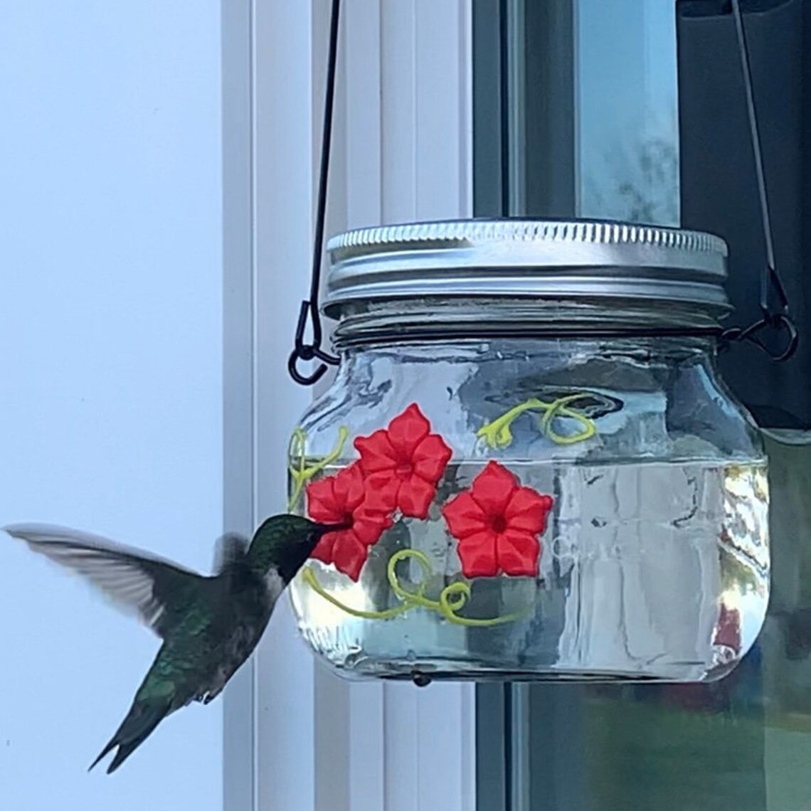 🔥Hummingbird Feeder with Three Ports