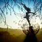 alwaysdwellTM - Perfect Wonderland Garden Decoration -The Naughty Spirits Are Dancing