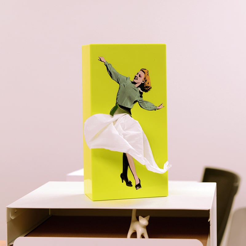 Flying Skirt Tissue Box