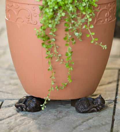 Cute Animal Shaped Pots Feet(🔥set of 3)