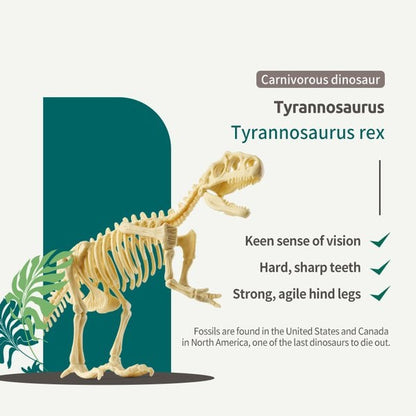 🦖Dinosaur Fossil Digging Kit