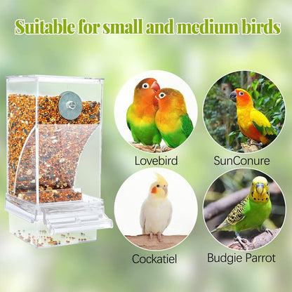 🔥No Mess Automatic Bird Feeder