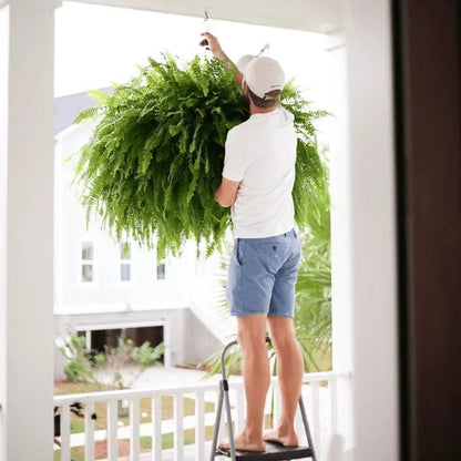💥Historical Lowest Price $18.99 🌱2025 Brand New Upgraded UV-Resistant Realistic Artificial Boston Fern