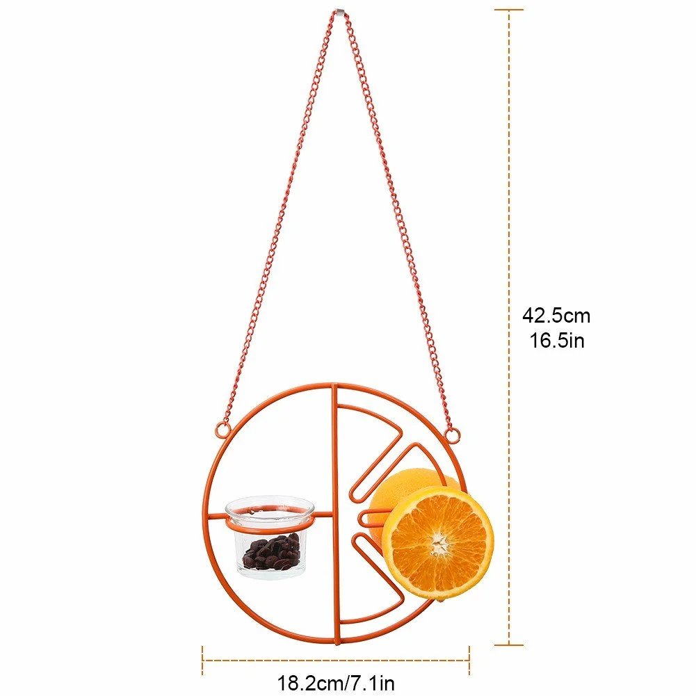 🔥2-in-1 hanging hummingbird oriole feeder